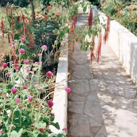 Private Piece Of Paradise - Away From Popova Luka