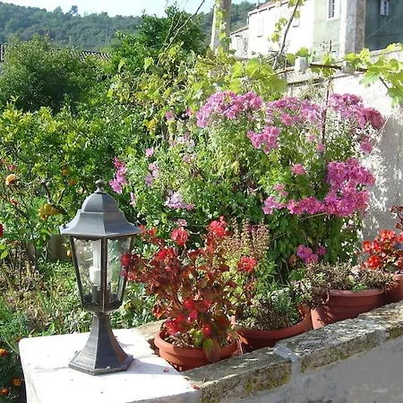 Private Piece Of Paradise - Away From Popova Luka